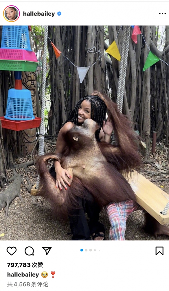 《小美人鱼》主演参观动物园 与黑猩猩合照被网暴
