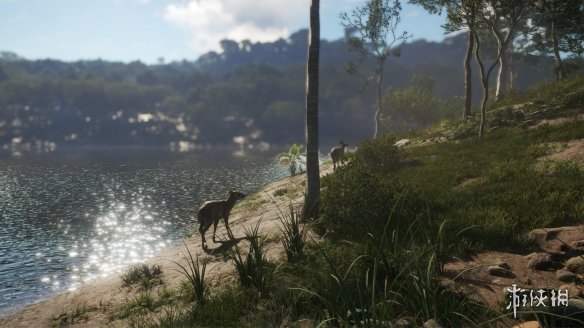 《猎人：野性的呼唤》新DLC公布 体验澳洲美丽风情！